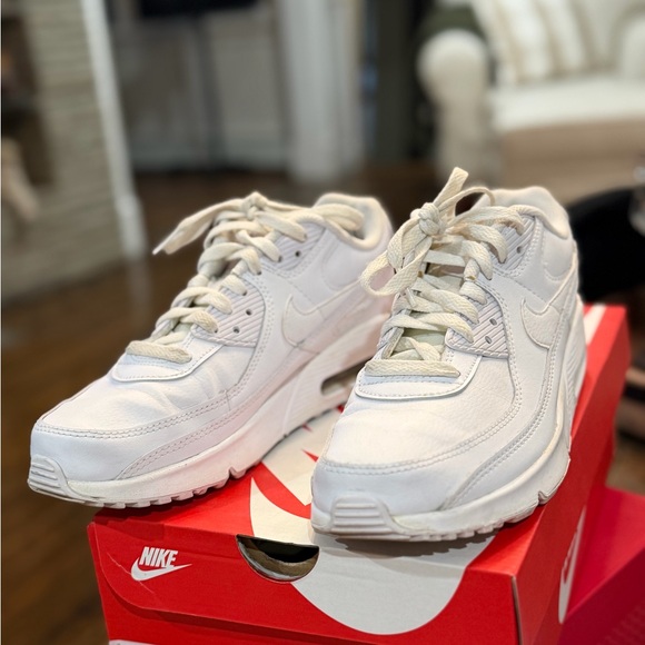 Nike Shoes - Nike Air Max 90